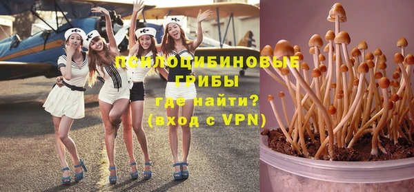 молекула духа Верхний Тагил