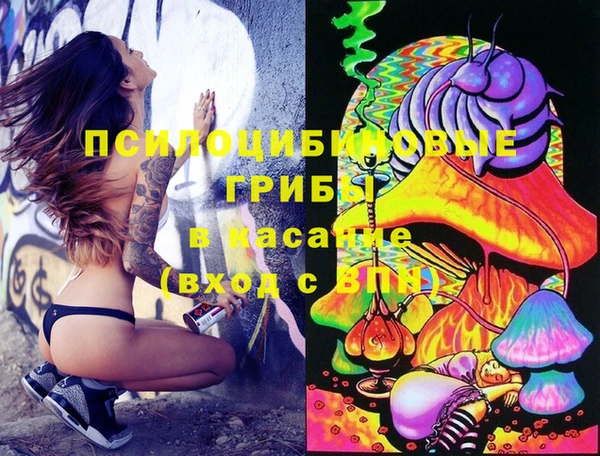ГАЛЛЮЦИНОГЕННЫЕ ГРИБЫ Бронницы