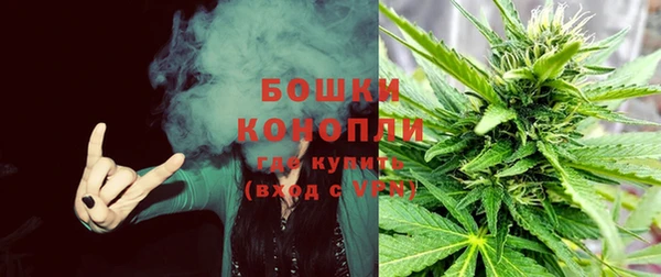 ГАЛЛЮЦИНОГЕННЫЕ ГРИБЫ Бронницы