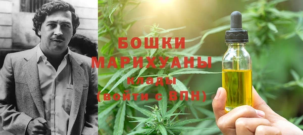 молекула духа Верхний Тагил