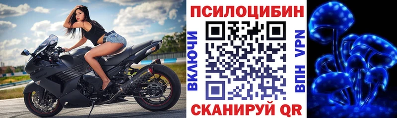 Псилоцибиновые грибы прущие грибы  Гороховец 