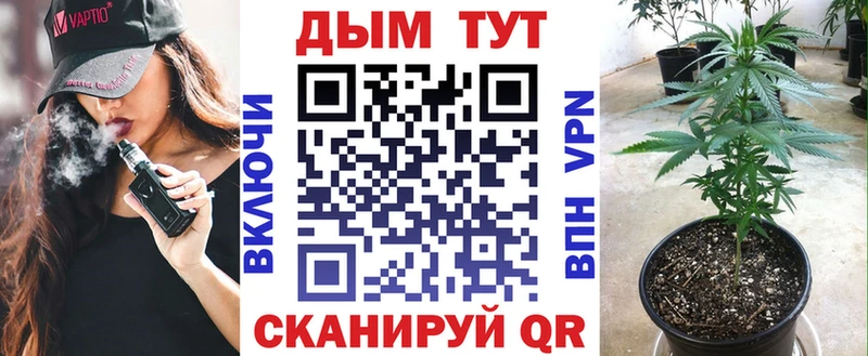 сколько стоит  Гороховец  Бошки Шишки VHQ 